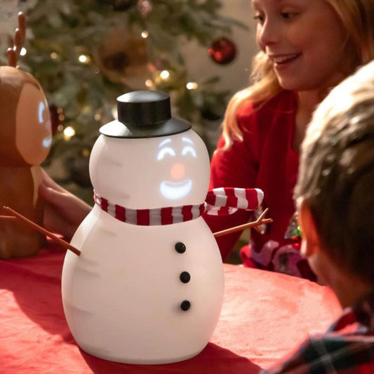 ⛄️FrostByte (Mr. Chill) Talking Animated Blink Snowman with Built in Projector & Speaker Plug'n Play🎄