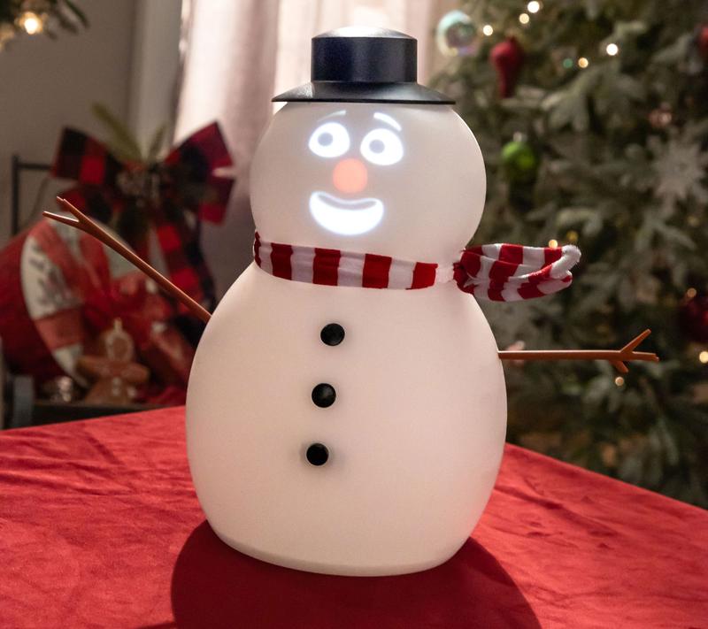 ⛄️FrostByte (Mr. Chill) Talking Animated Blink Snowman with Built in Projector & Speaker Plug'n Play🎄